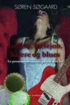 Ludere, lortejob, bajere og blues – En gennemsnitsmands parodi af et liv