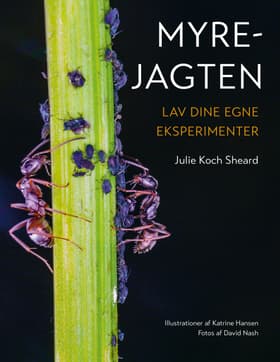 Myrejagten af Julie Koch Sheard