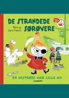 De strandede sørøvere
