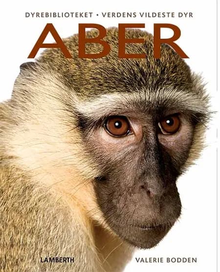 Aber af Valerie Bodden