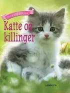 Katte og killinger