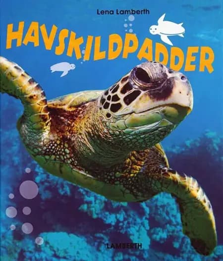 Havskildpadder af Lena Lamberth