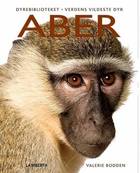 Aber af Valerie Bodden