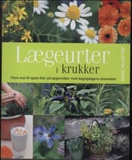 Lægeurter i krukker af Anne McIntyre