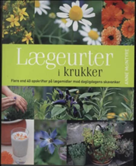 Lægeurter i krukker af Anne McIntyre