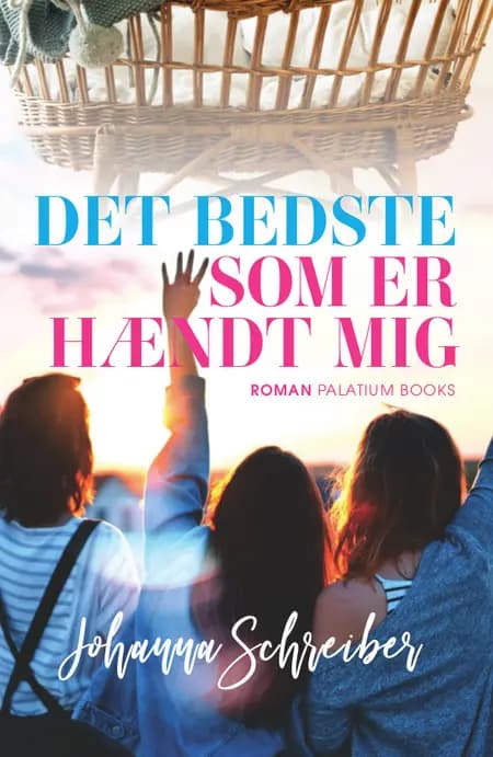 Det bedste som er hændt mig af Johanna Schreiber