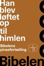 Han blev løftet op til himlen - Bibelens pinsefortælling af Bibelselskabet