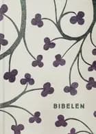 Bibelen med apokryfer 