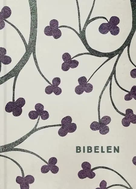 Bibelen med apokryfer 