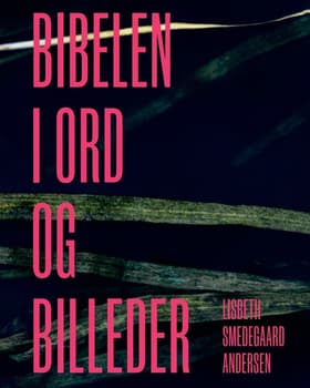 Bibelen i ord og billeder af Lisbeth Smedegaard Andersen