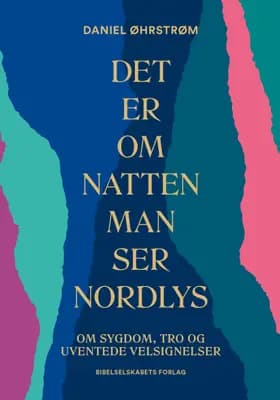 Det er om natten man ser nordlys af Daniel Øhrstrøm