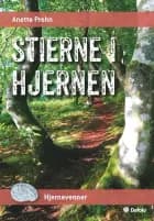 Stierne i hjernen af Anette Prehn