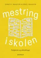 Mestring i skolen
