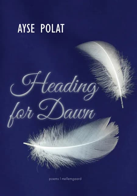Heading for Dawn af Ayse Polat