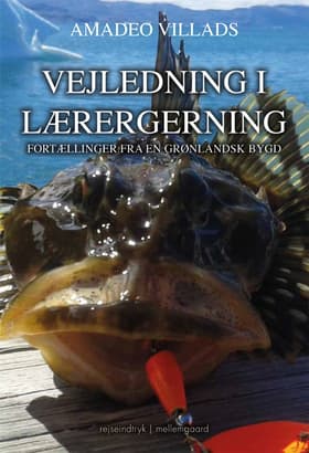 Vejledning i lærergerning af Amadeo Villads