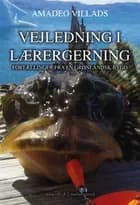 Vejledning i lærergerning