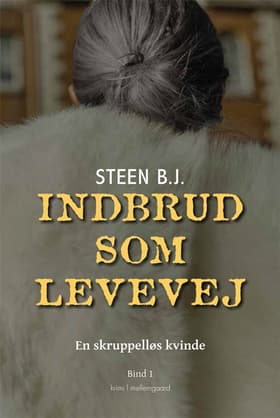 Indbrud som levevej af Steen B. J.