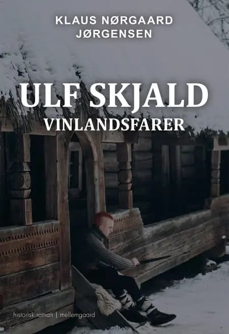 Vinlandsfarer af Klaus Nørgaard Jørgensen