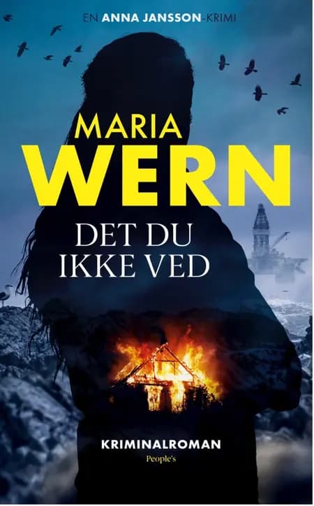 Det du ikke ved af Anna Jansson