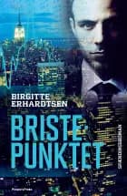 Bristepunktet af Birgitte Erhardtsen