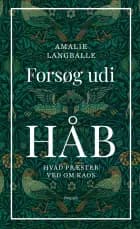 Forsøg udi håb