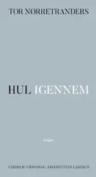 Hul igennem