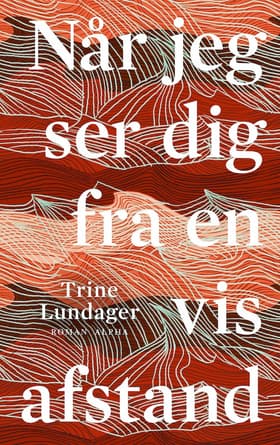 Når jeg ser dig fra en vis afstand af Trine Lundager