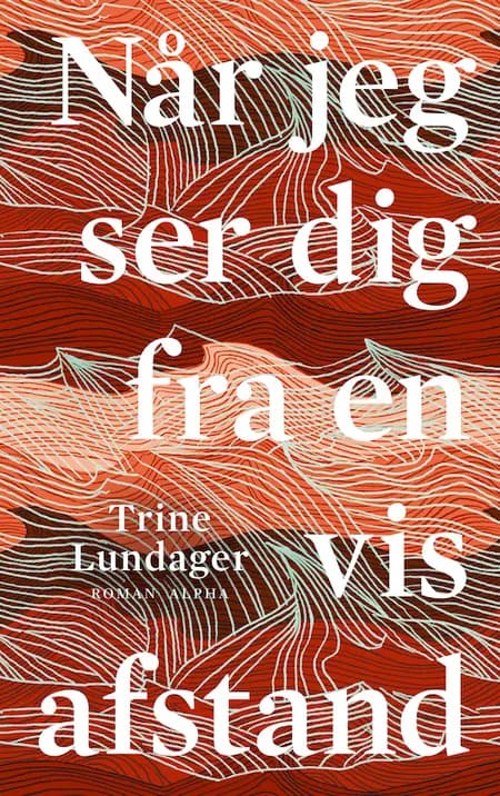 Når jeg ser dig fra en vis afstand af Trine Lundager