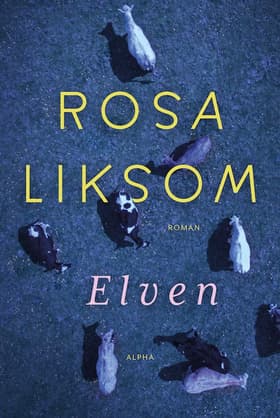 Elven af Rosa Liksom