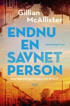 Endnu en savnet person