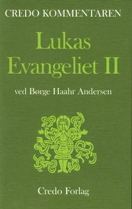 Lukas-evangeliet af Børge Haahr Andersen