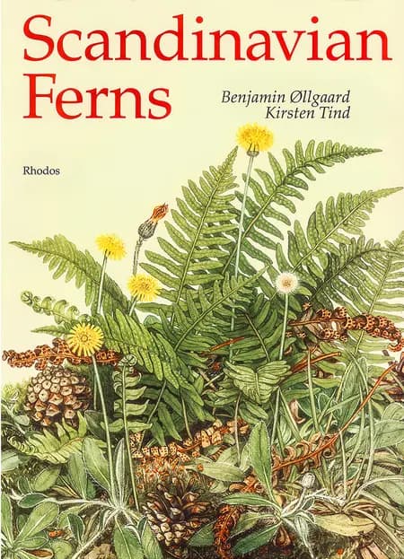 Scandinavian ferns af Benjamin Øllgaard