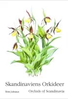 Skandinaviens orkideer af Bent Johnsen
