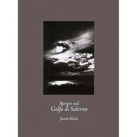 Bjerget ved Golfo di Salerno af Janne Klerk