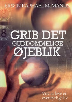Grib det guddommelige øjeblik! af Erwin Raphael McManus