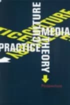 Culture, media, theory, practice : perspectives