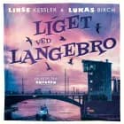 Liget ved Langebro