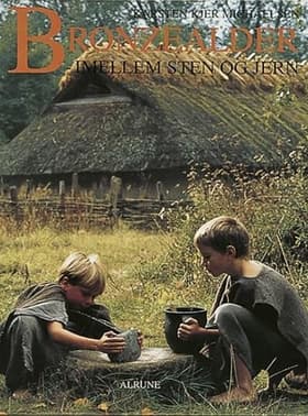 Bronzealder af Karsten Kjer Michaelsen
