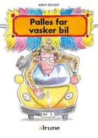 Palles far vasker bil