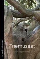 Træmuseet af C. Y. Frostholm