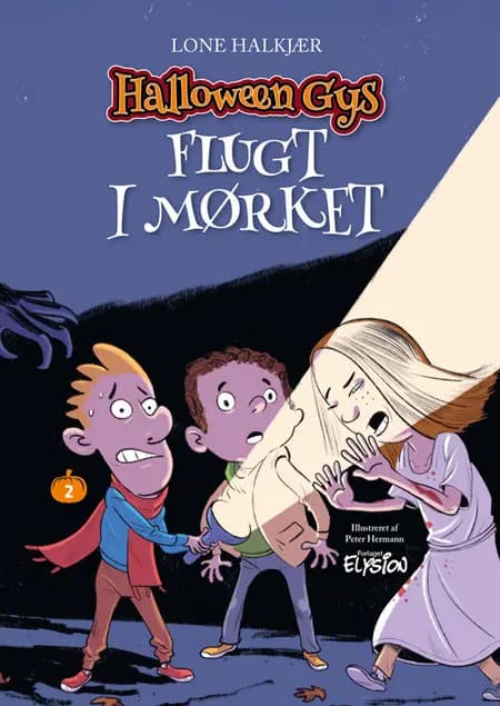 Flugt i mørket af Lone Halkjær