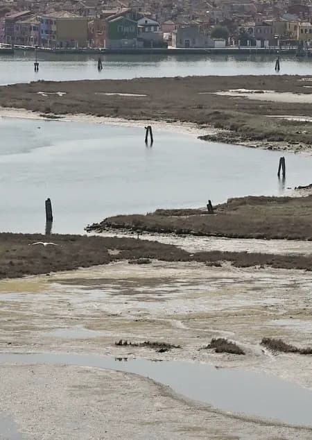 Urban Shores af Ole Fryd og Gertrud Jørgensen