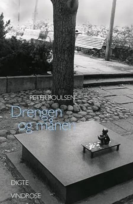 Drengen og månen af Peter Poulsen