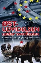 Østudvidelsen under overfladen