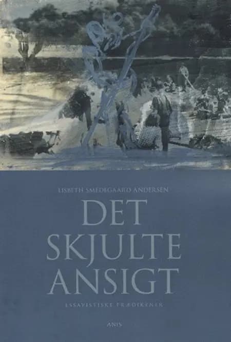 Det skjulte ansigt af Lisbeth Smedegaard Andersen