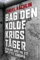 Bag den kolde krigs tåger