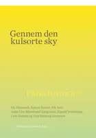 Gennem den kulsorte sky