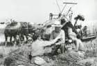 Danske landbrugshistoriske film