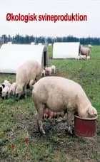 Økologisk svineproduktion