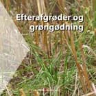 Efterafgrøder og grøngødning